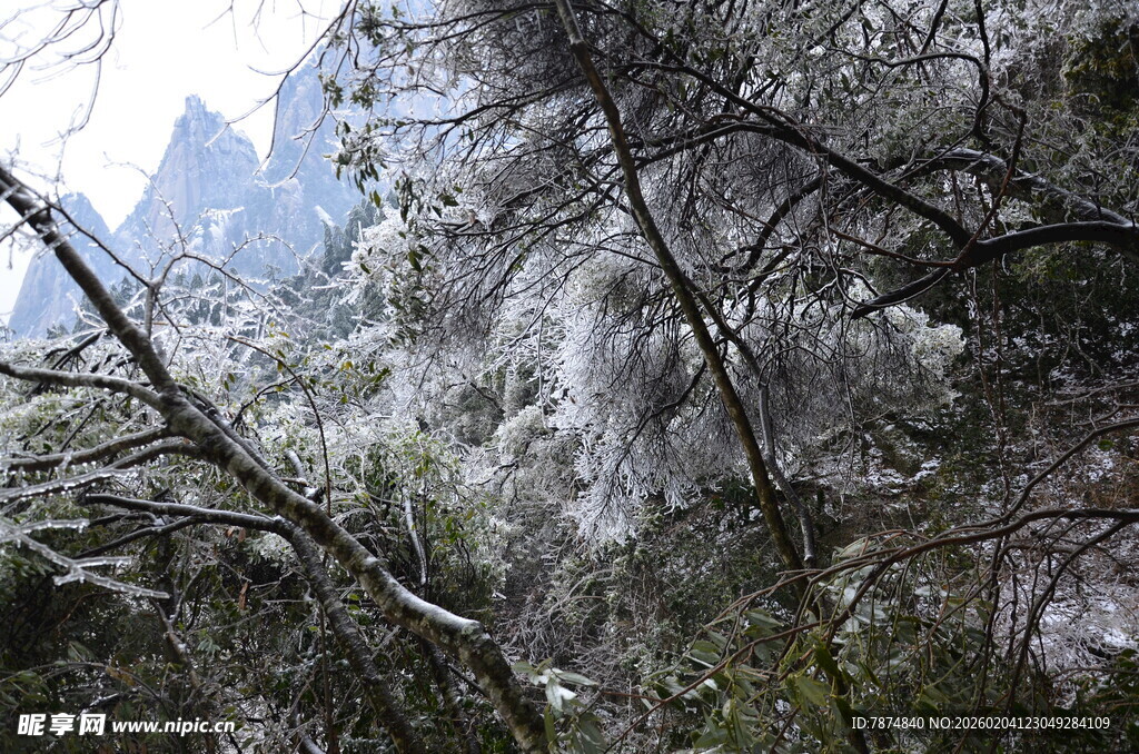 雪覆山林 山间景致清幽