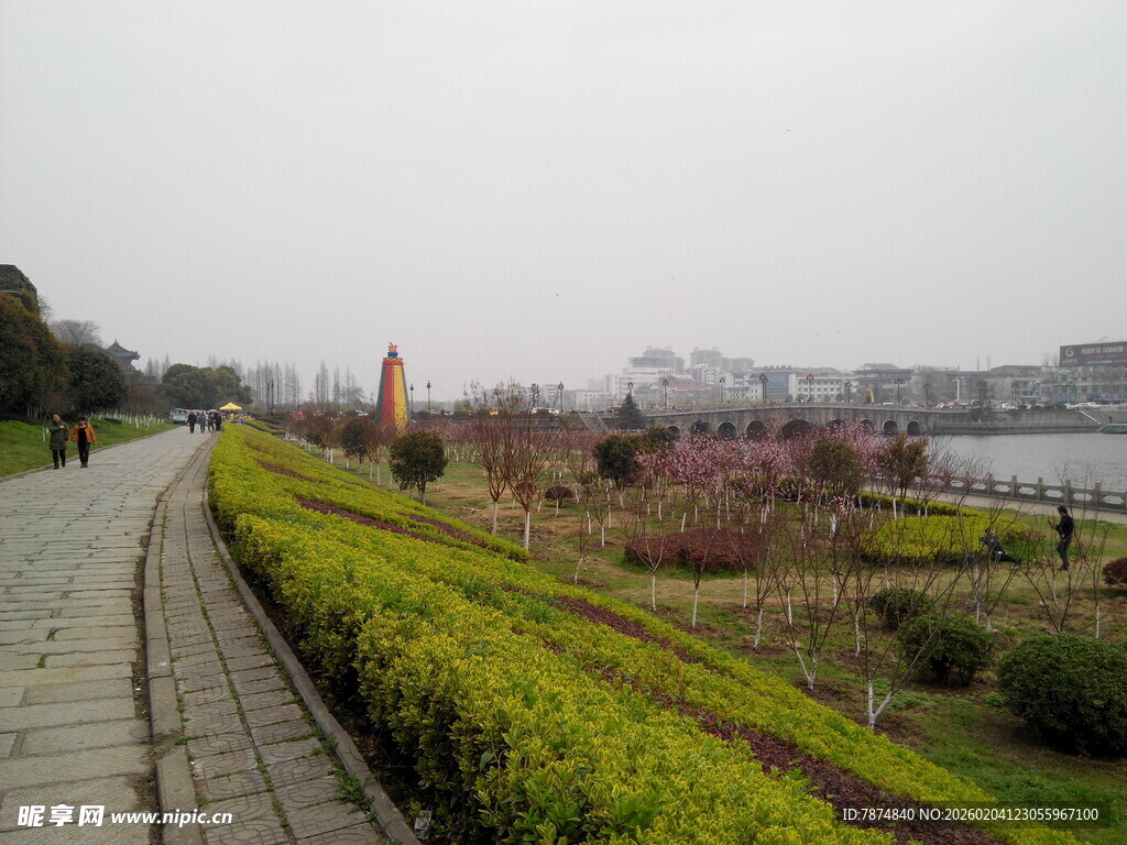 湖畔步道旁的多彩绿植景观