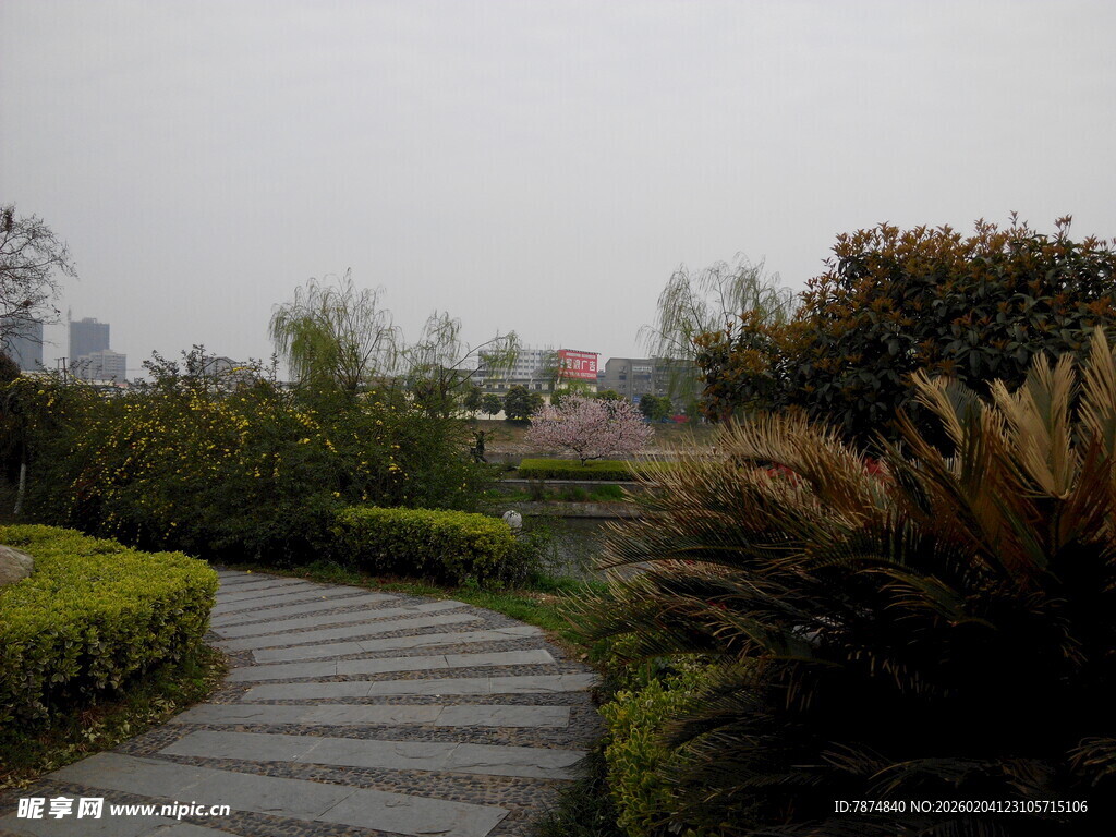 园林小径 绿植环绕景致美