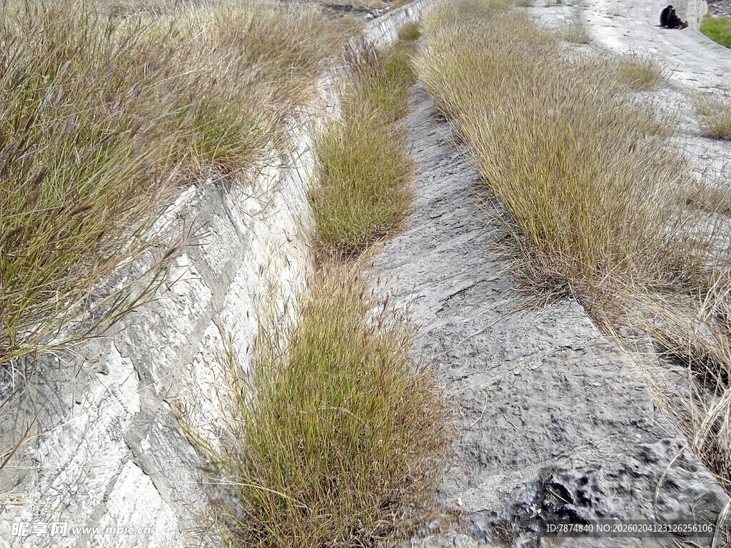 干旱地区的荒芜沟渠
