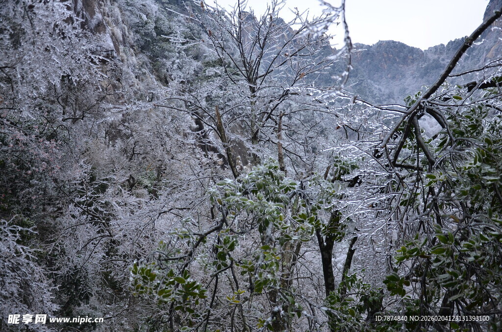 雪覆山林景