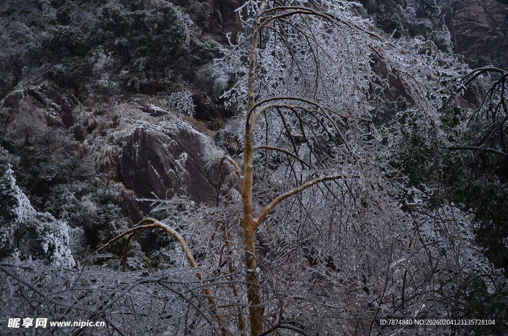 冬日覆雪山林景象