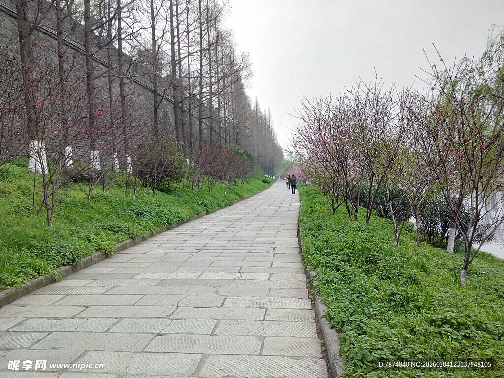 春日林荫小道漫步景色