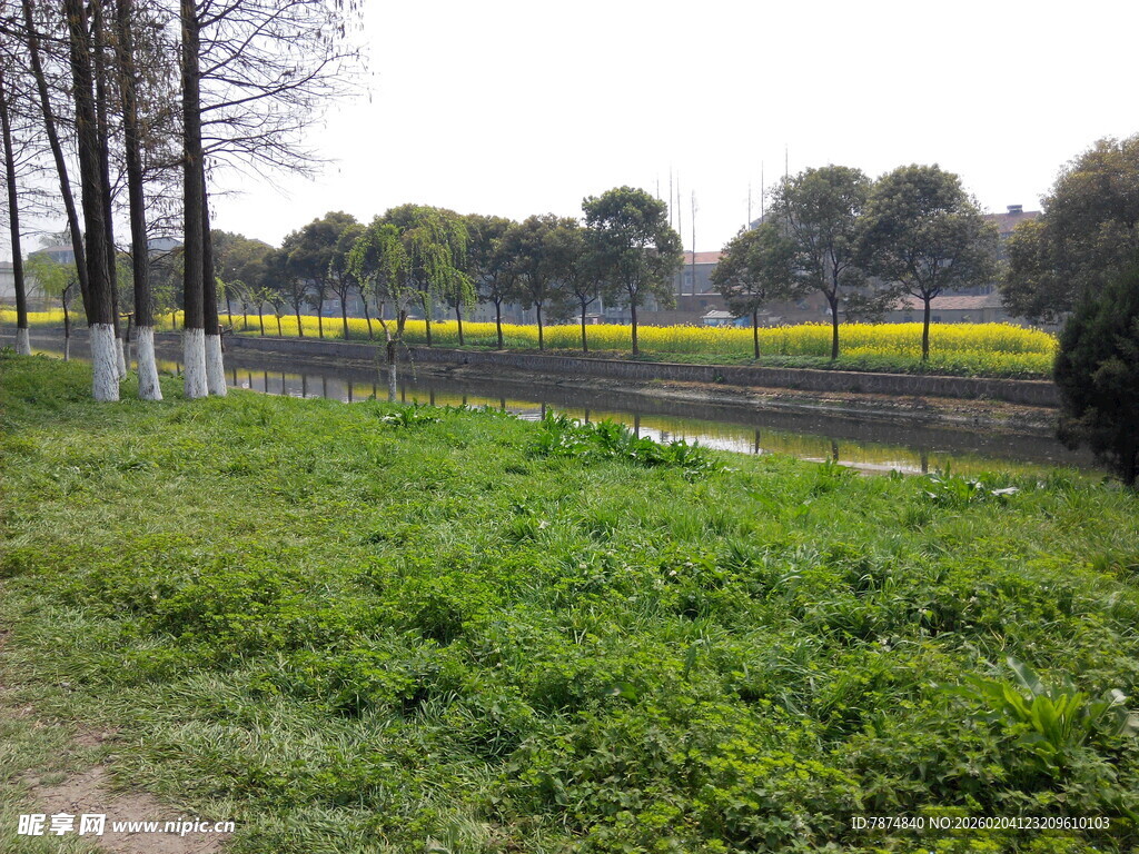 春日田野边的葱郁草地