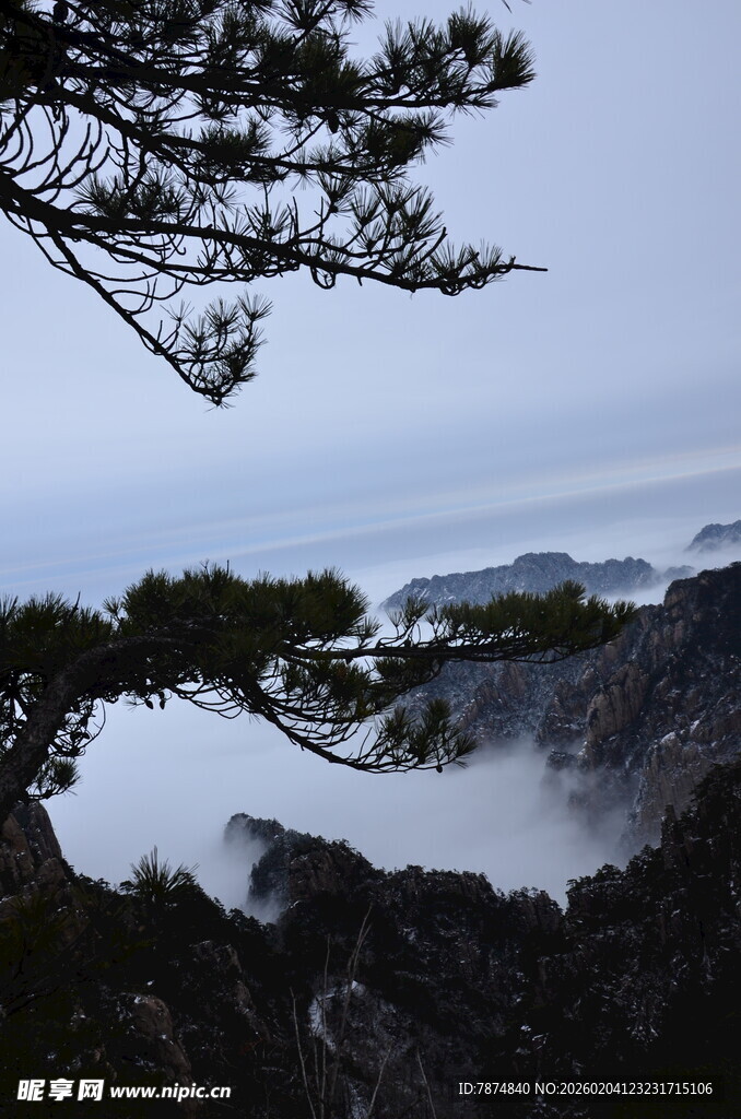 山间松景 云雾缭绕之美
