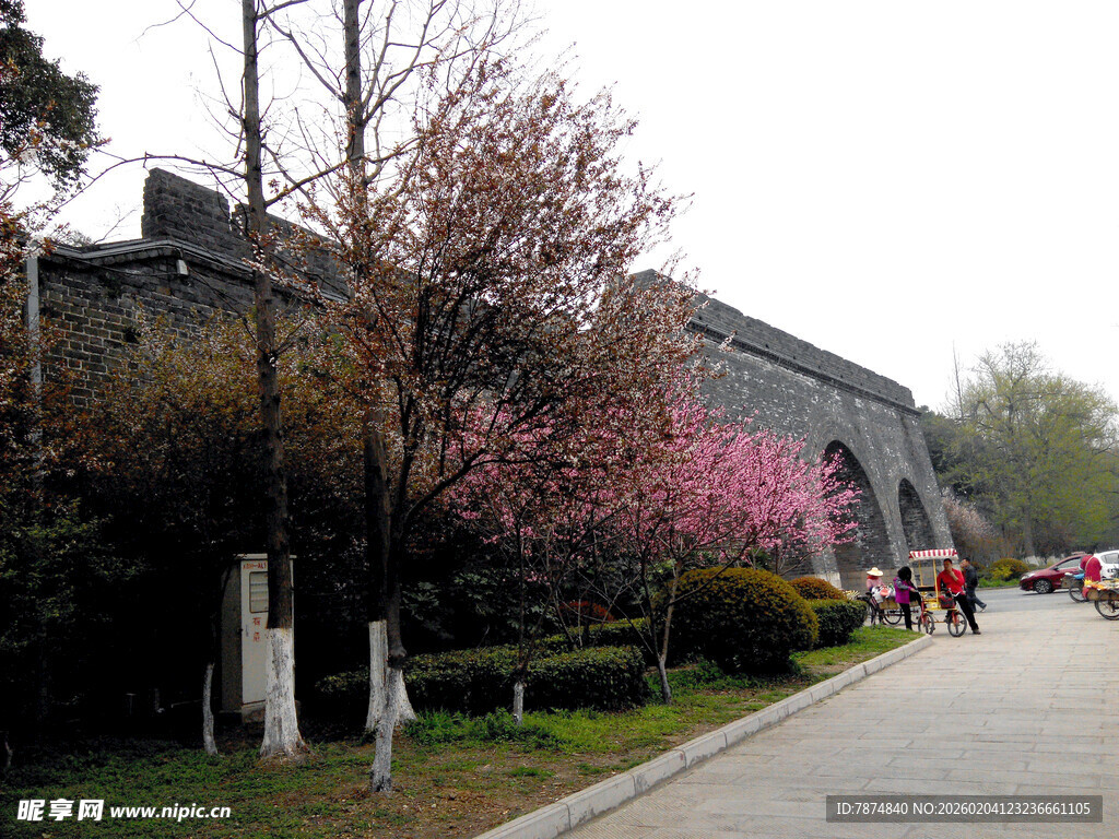 春日古城边盛开的烂漫繁花