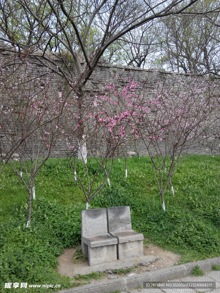 春日繁花下的静谧座椅