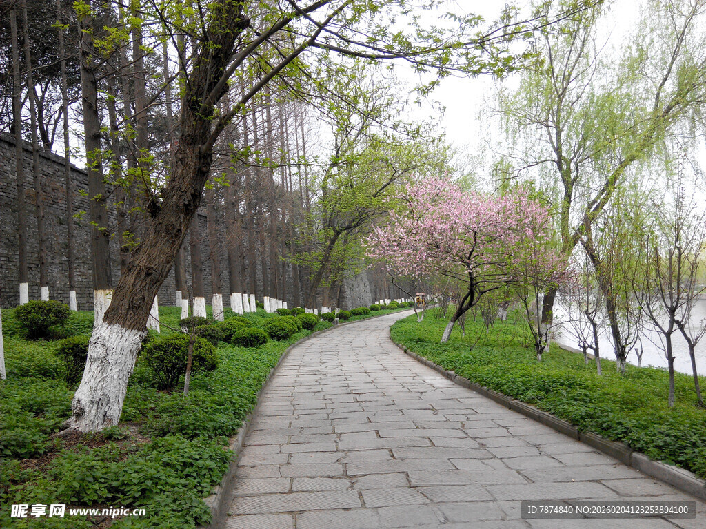 春日河畔林荫小道美景