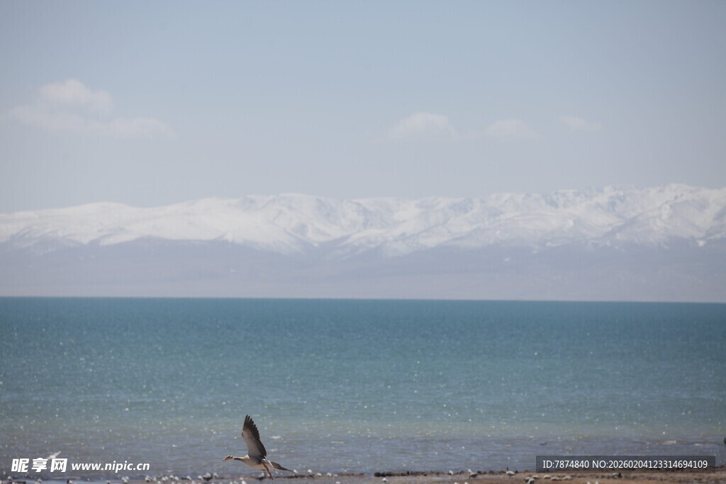 海边独行者 远山近水