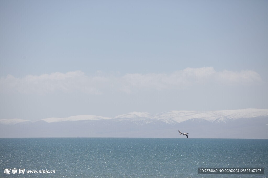海天一色间飞鸟翱翔