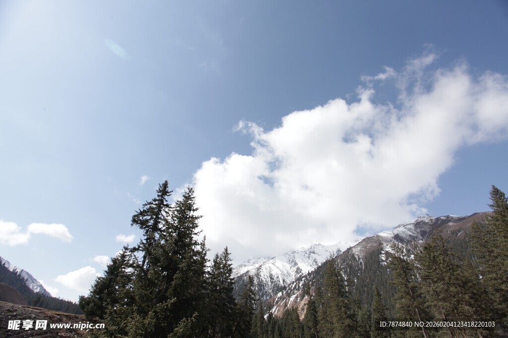 山间云景 松与雪山相映