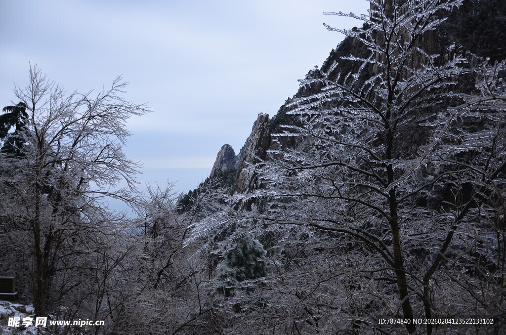 雪覆山林的冬日美景