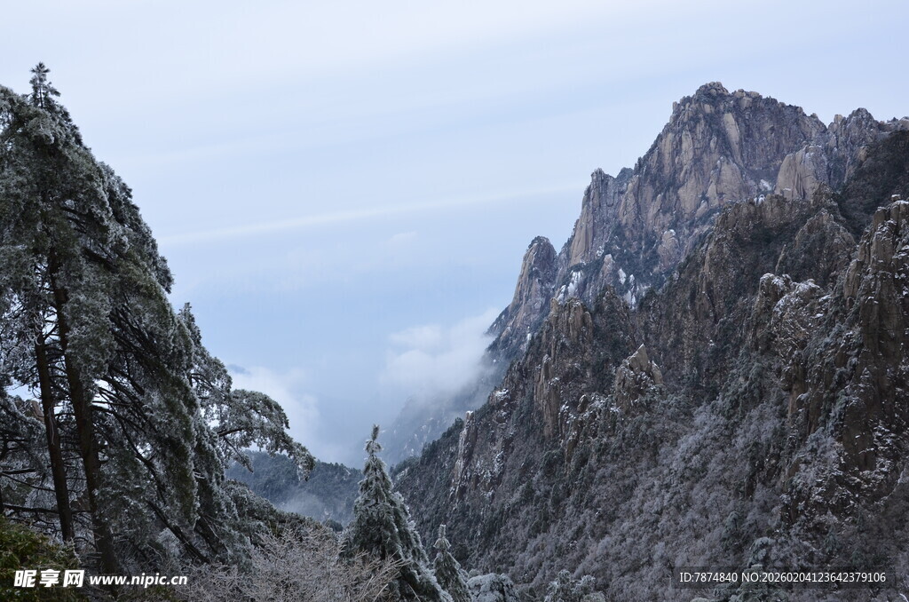 雪覆山峦间的苍松美景
