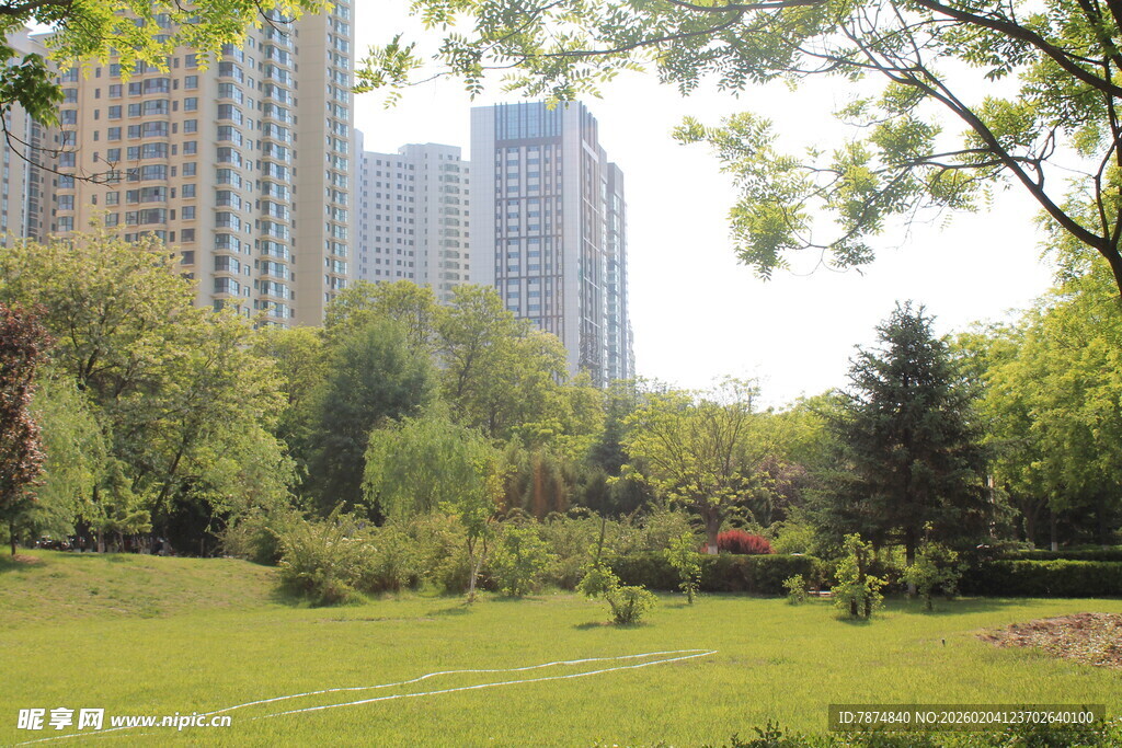 城市中的绿意盎然公园