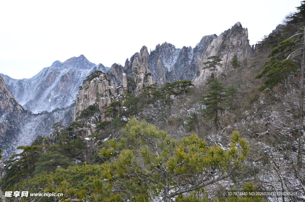 巍峨山峦间的葱郁植被