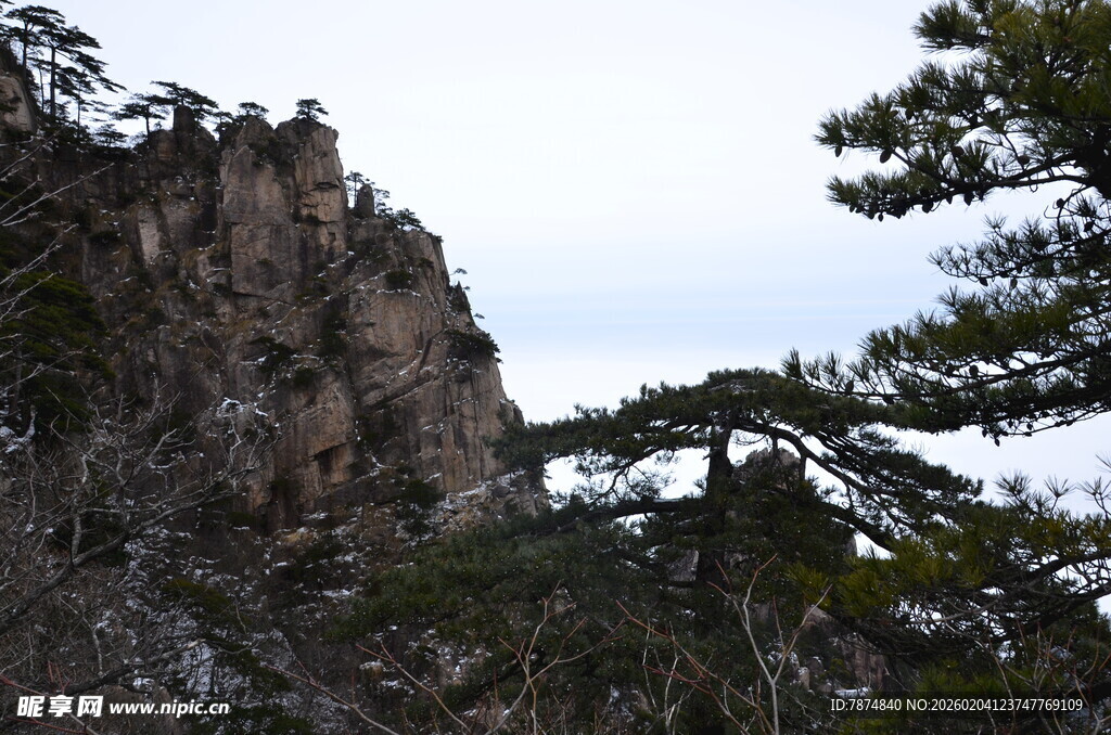 峻峭山峰与苍松