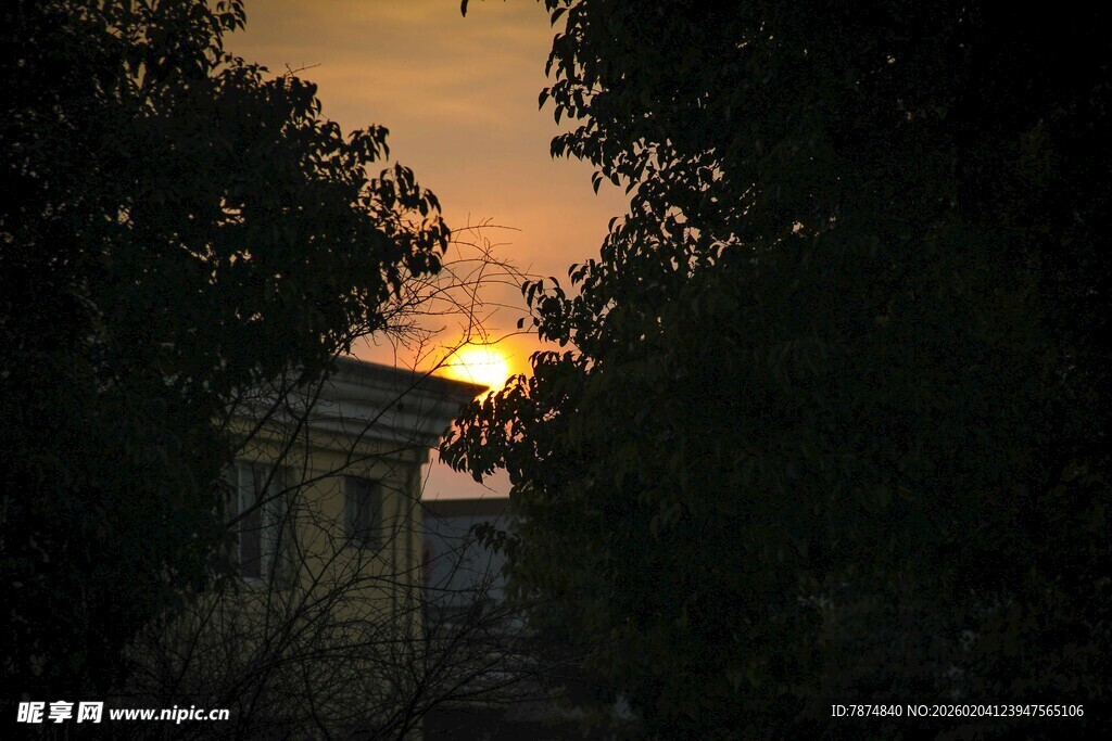 黄昏林间透出的落日美景