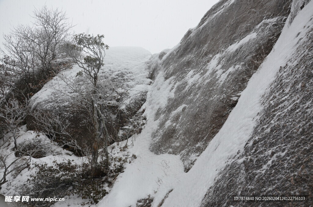 雪覆山石与枯树景象
