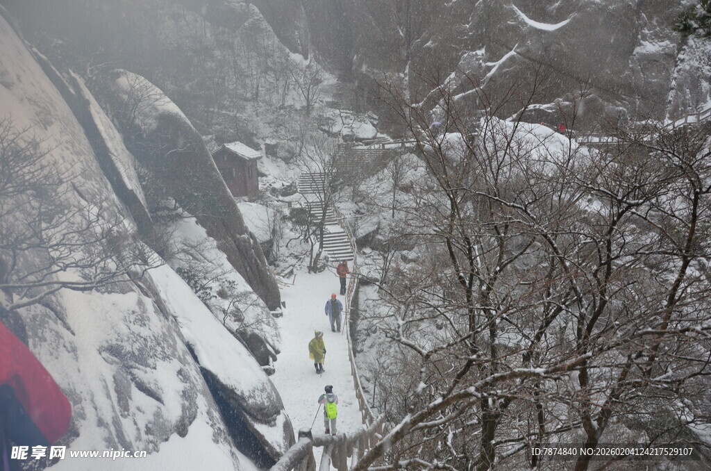 滑雪者穿梭于雪覆树林间