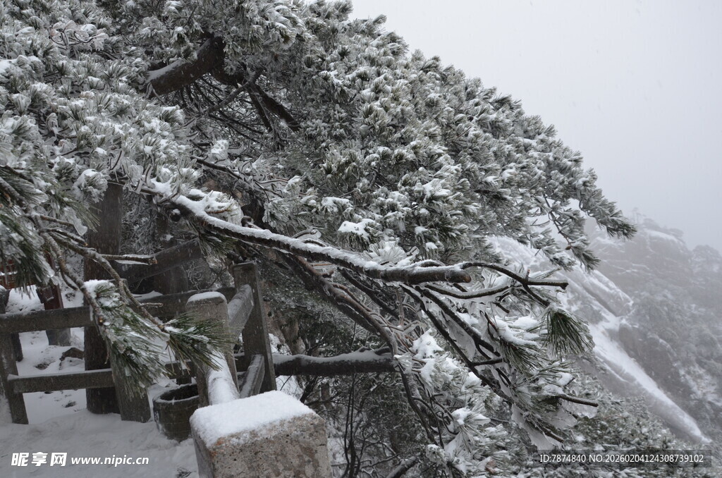雪覆松枝的山间景致