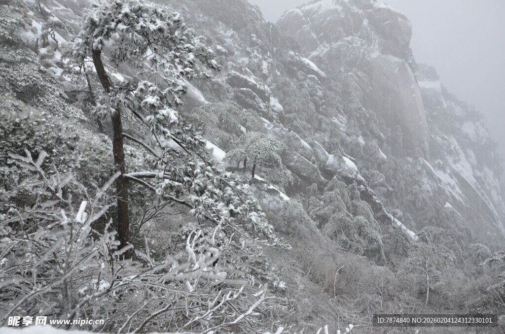 雪覆山林美景