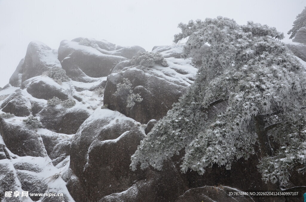 雪覆山石树木的冬日景致