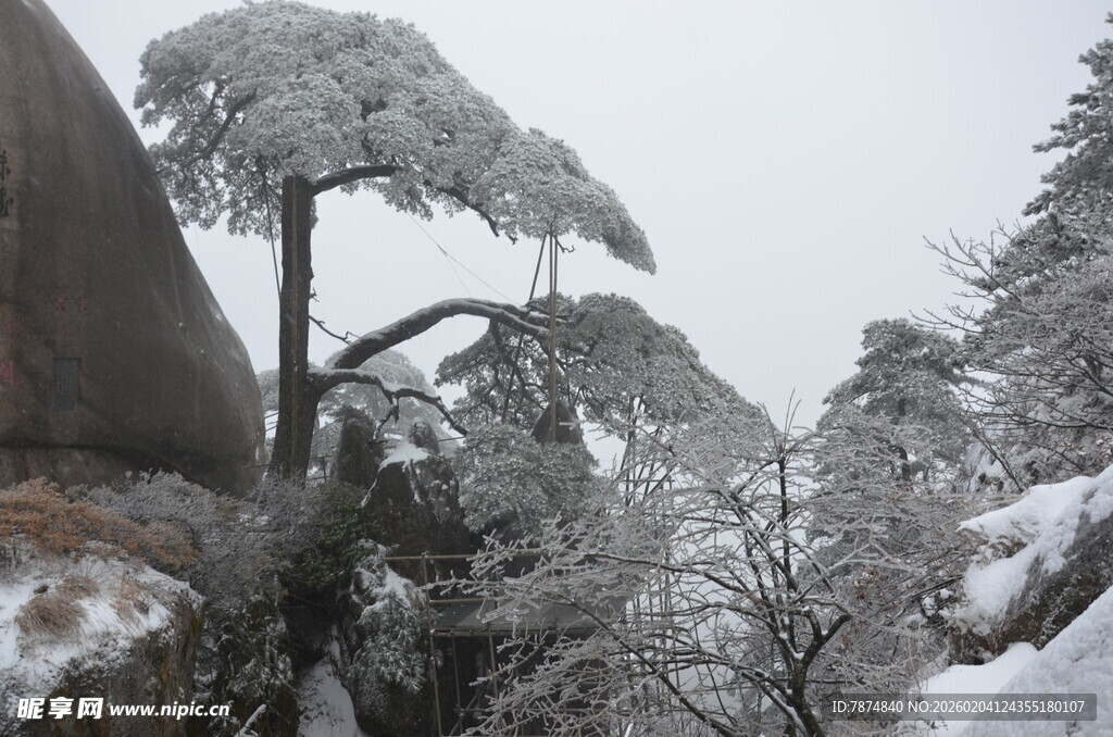 雪覆苍松的山间景致