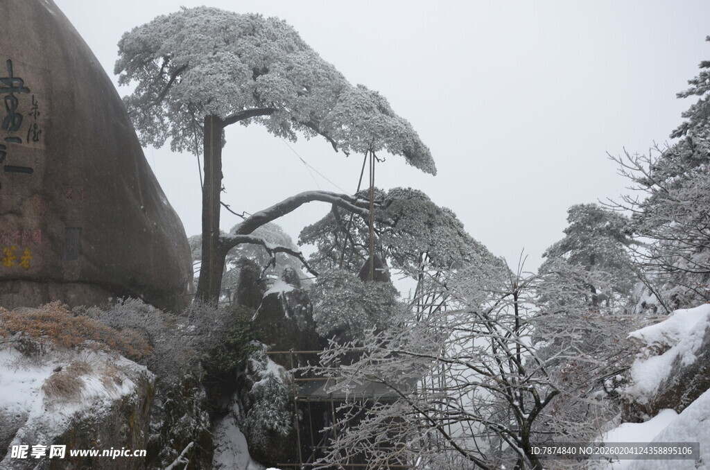 雪覆苍松 山间冬日美景