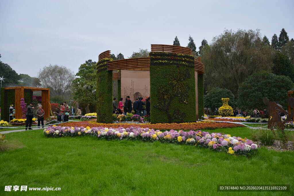 花园中的多彩花卉景观