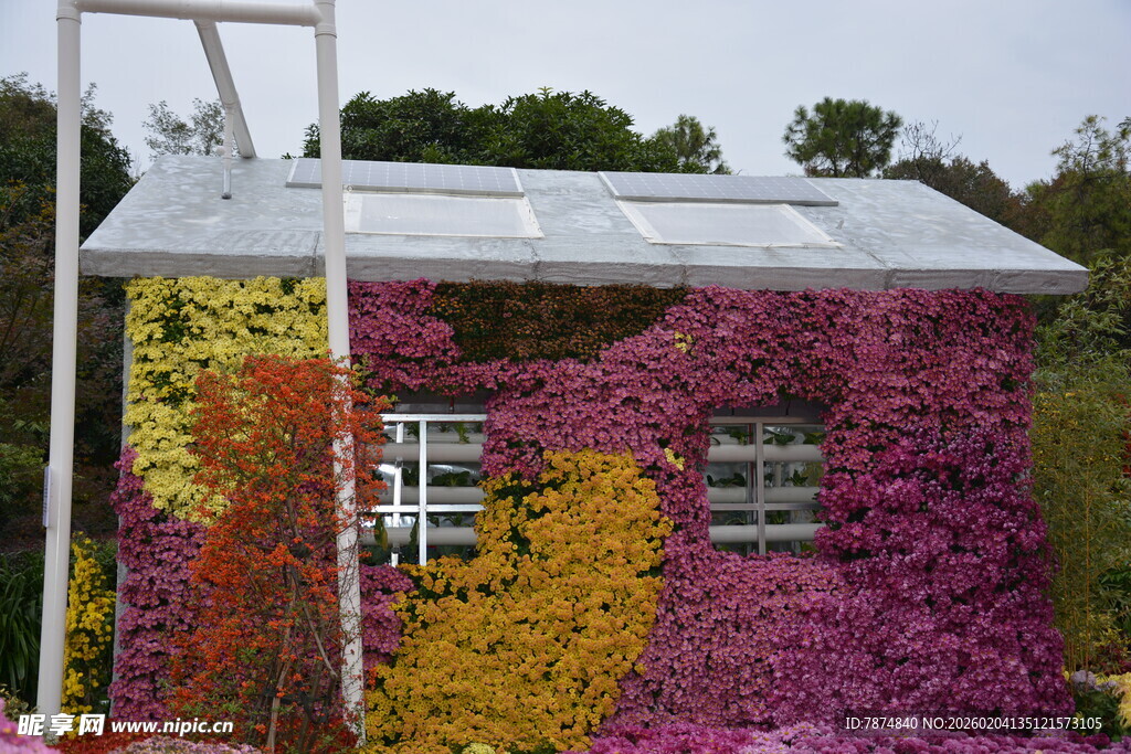 多彩植物墙装饰的小屋