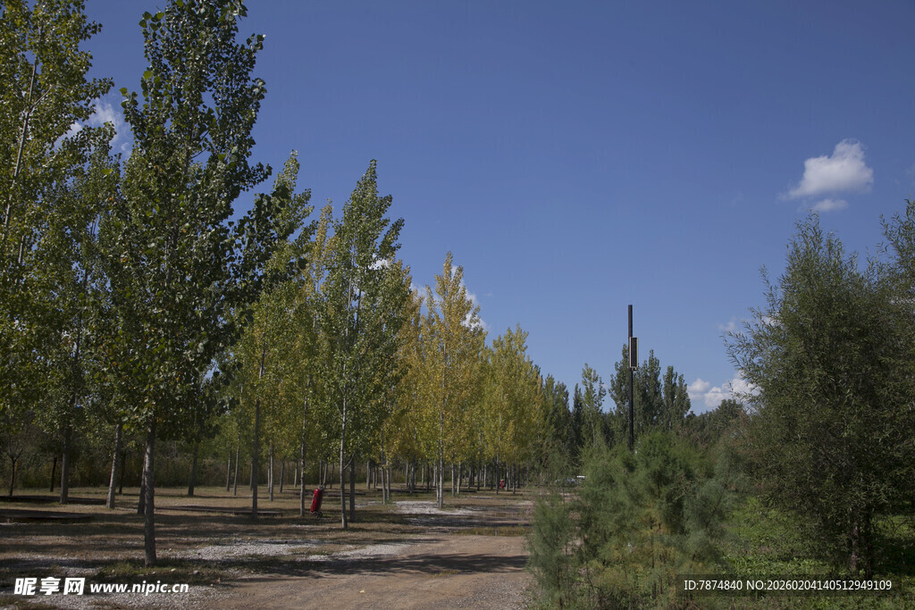 秋日林间小道美景