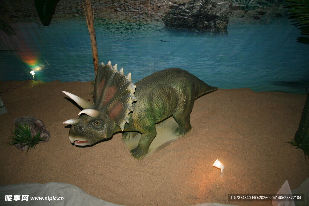 展示中的三角龙模型