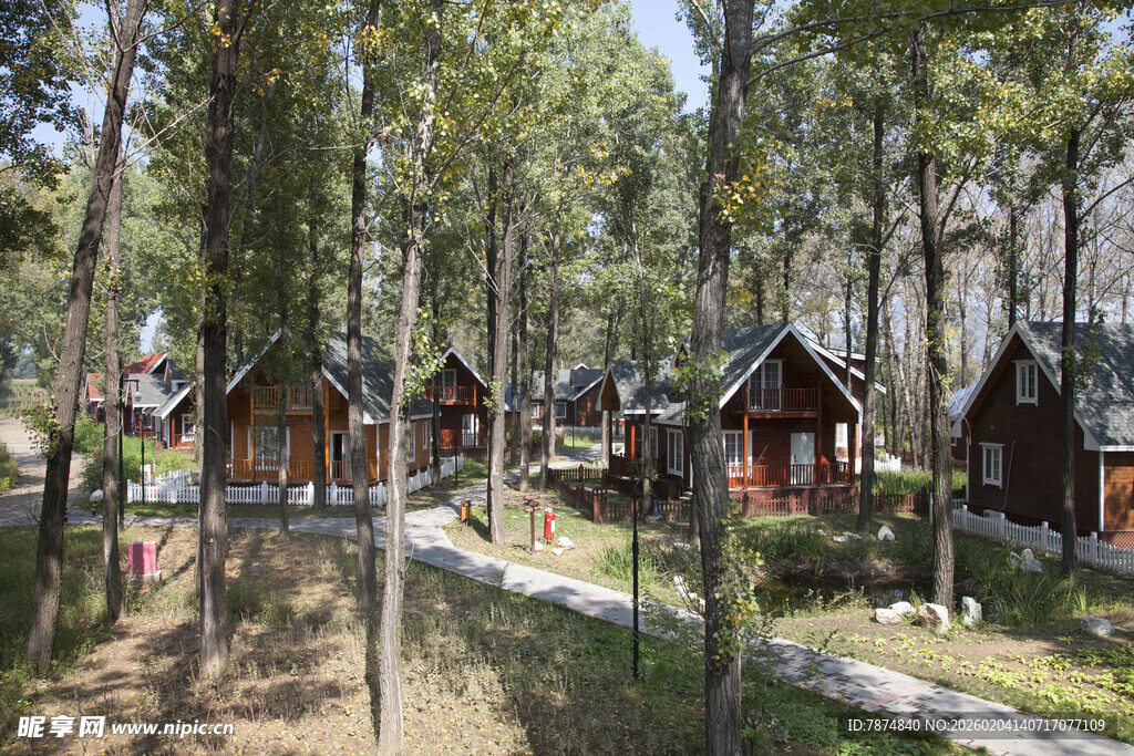 林间木屋度假好去处