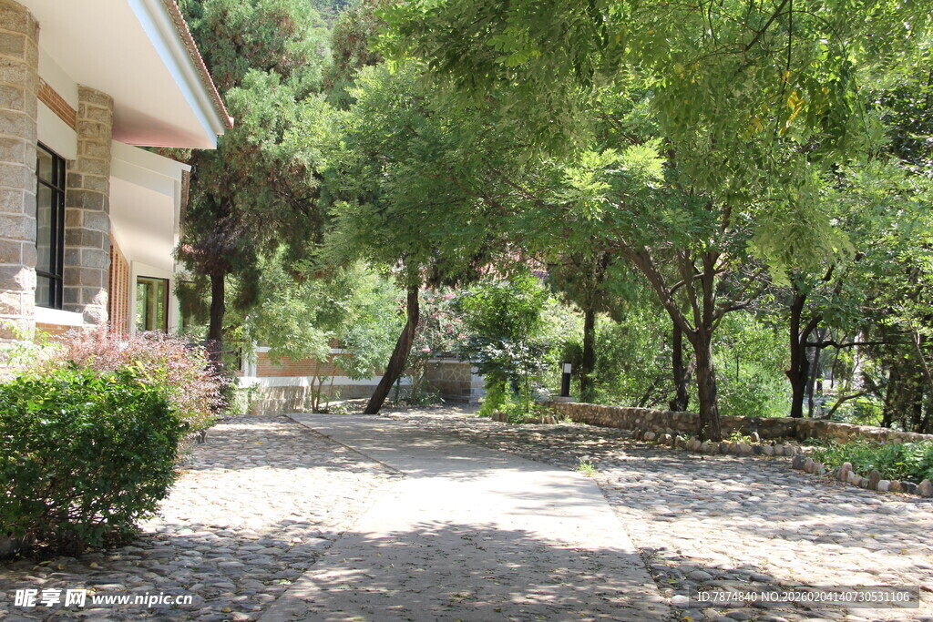 宁静庭院 绿树环绕的景致