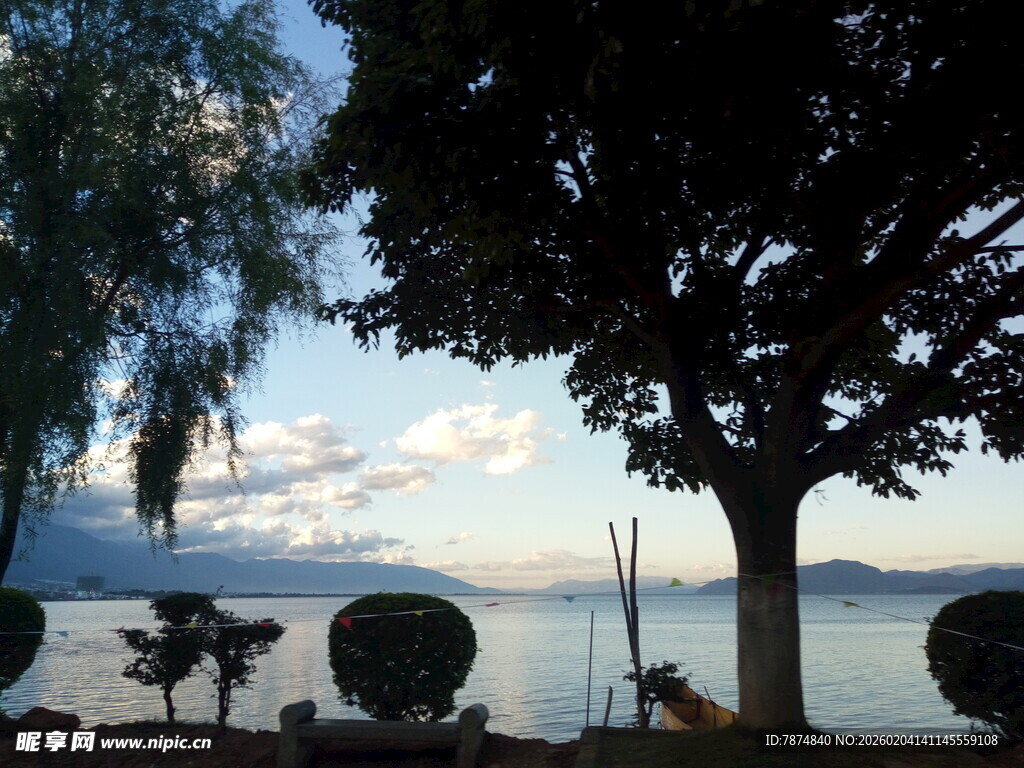 湖畔树影下的休闲场景