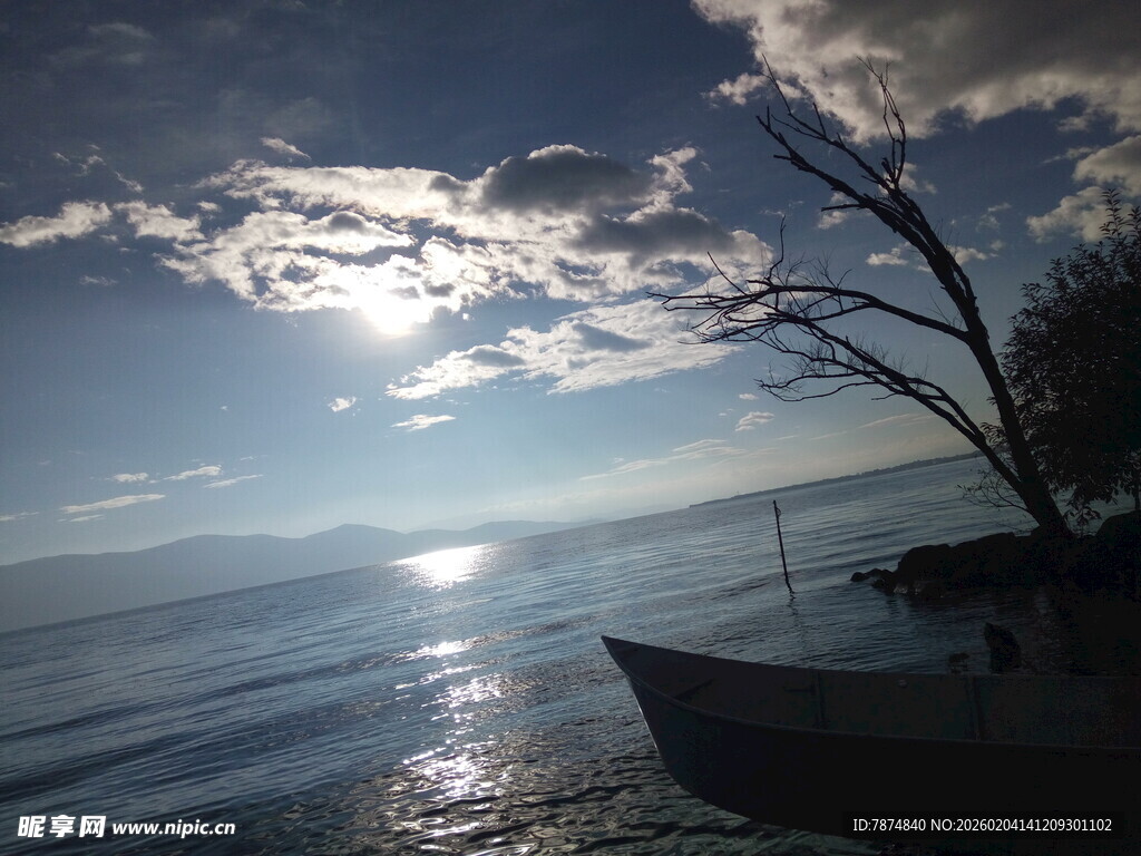 海边孤树与停泊小船