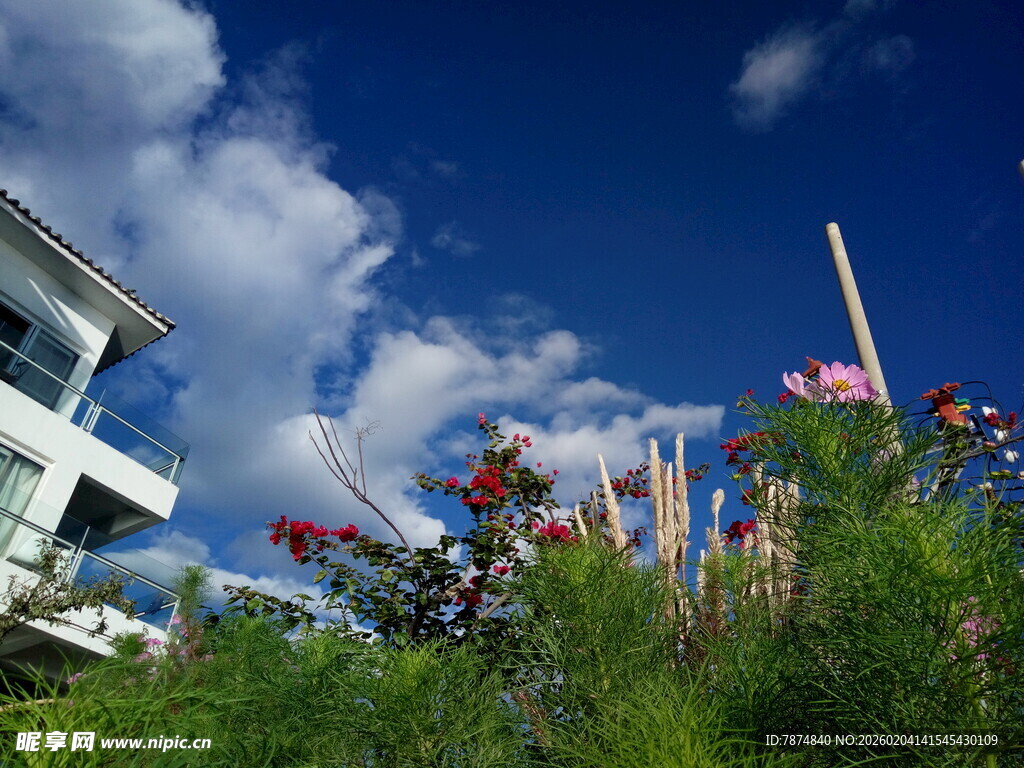 蓝天繁花旁的现代建筑