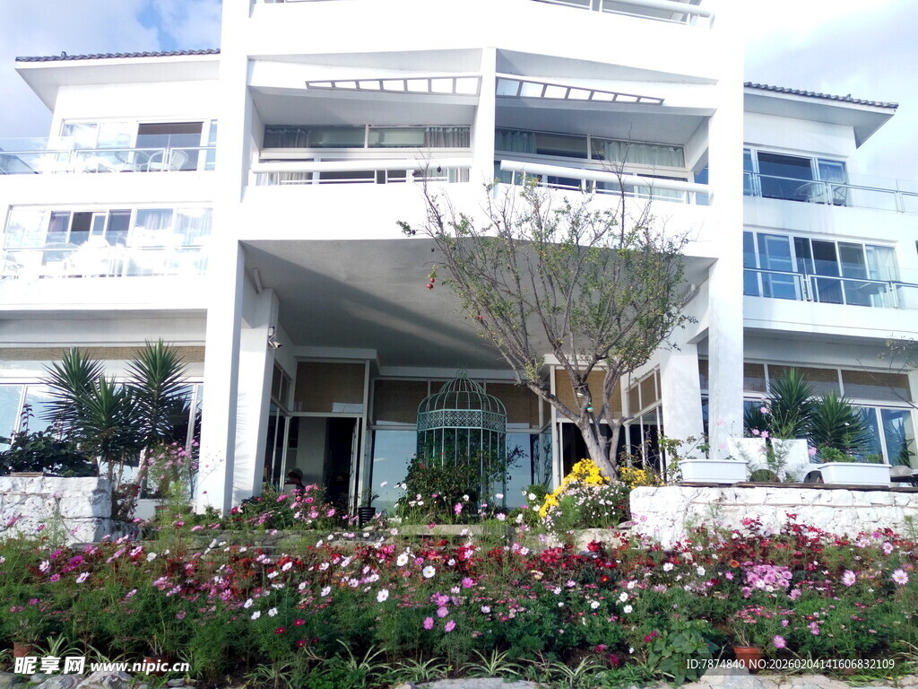 现代风格白色建筑与花卉