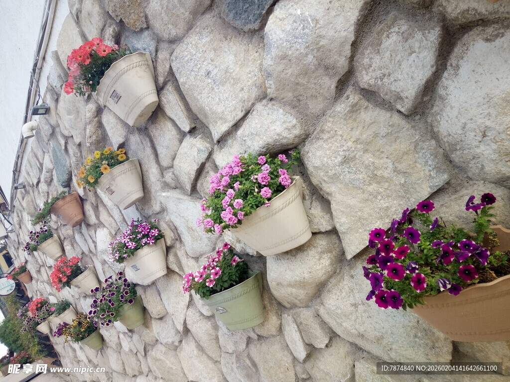 石墙上的多彩盆栽花卉
