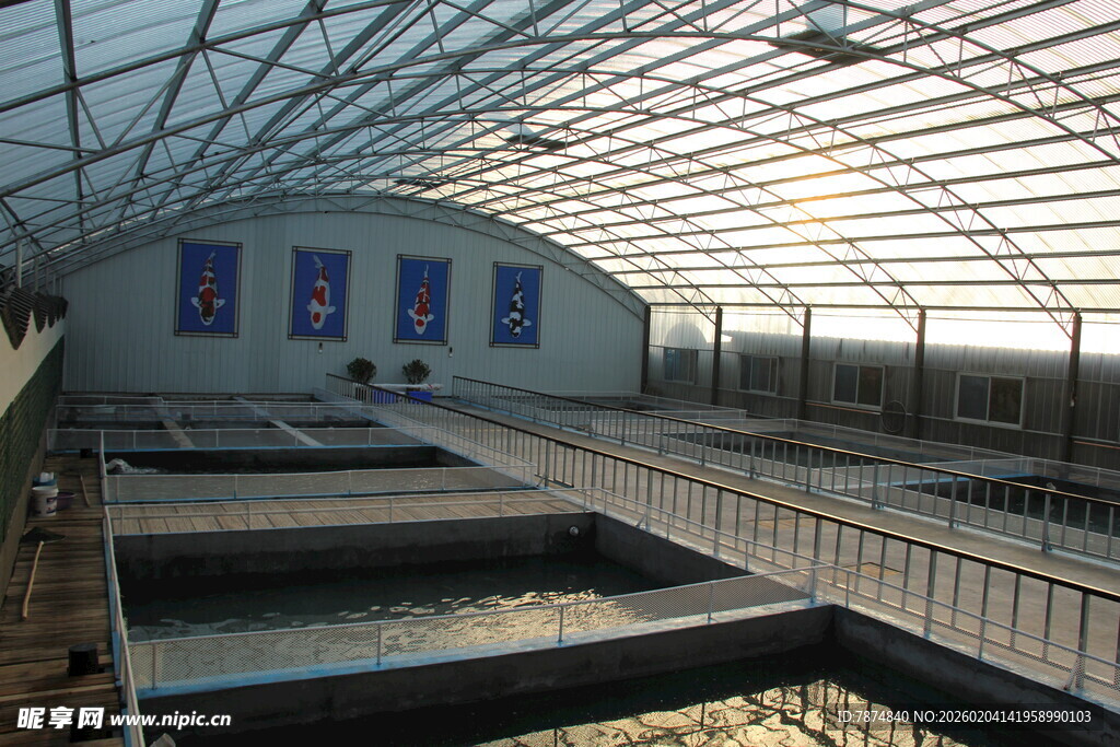 现代化温室养殖设施