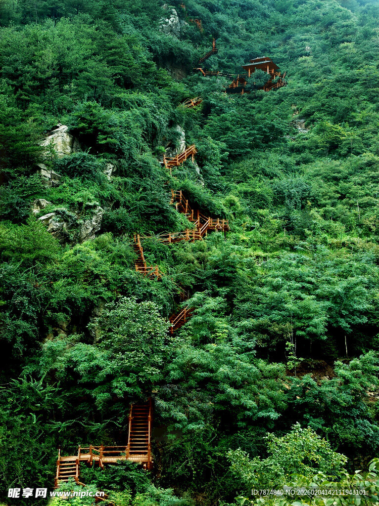 山间木质栈道隐于绿意中