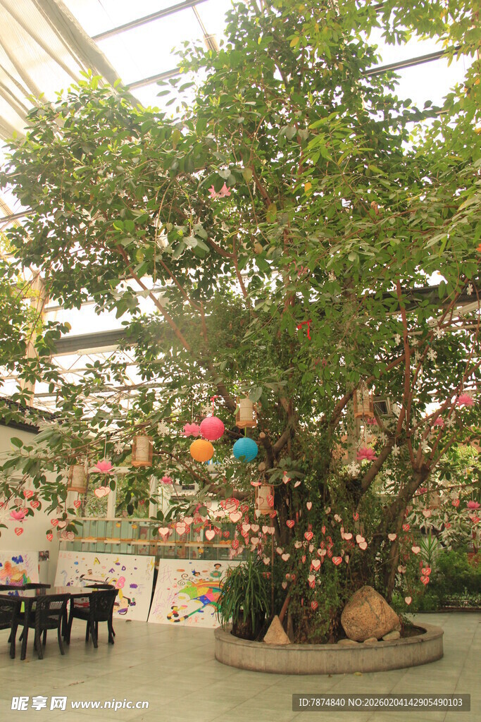 室内大树景观 色彩点缀