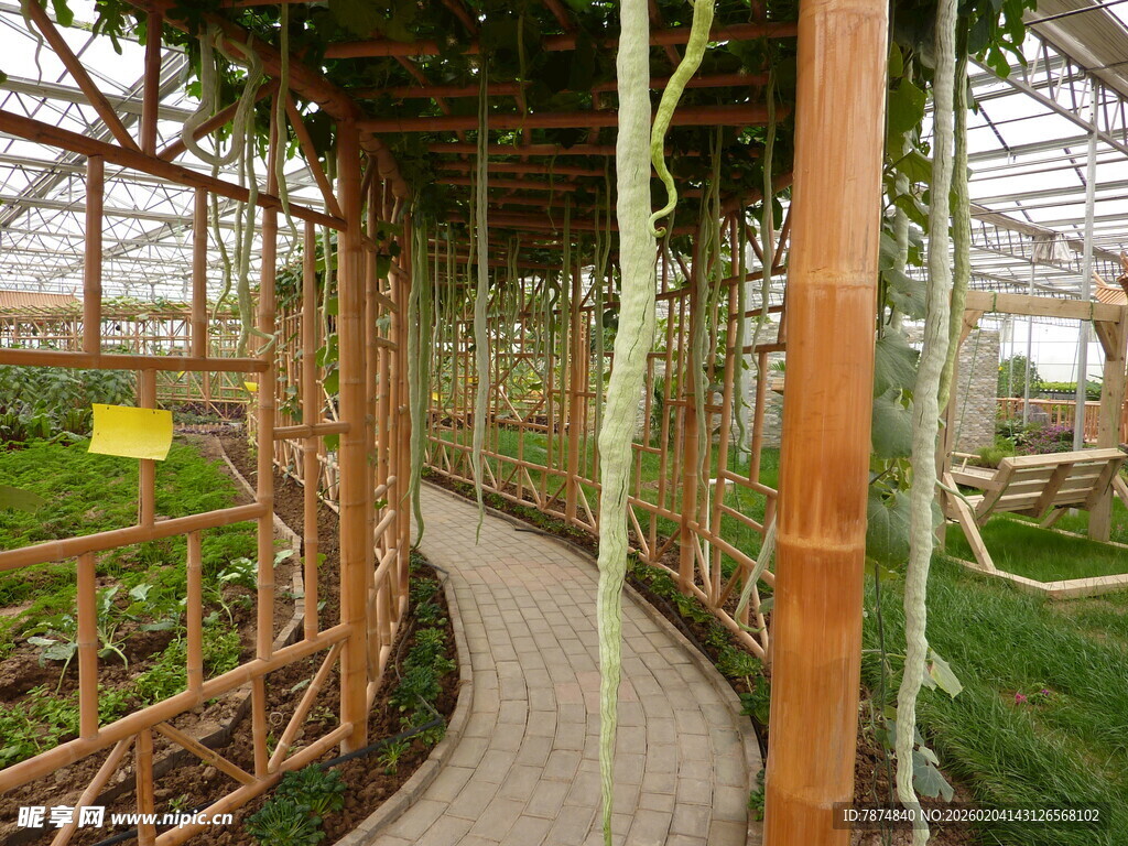 竹制廊架下的蜿蜒小径