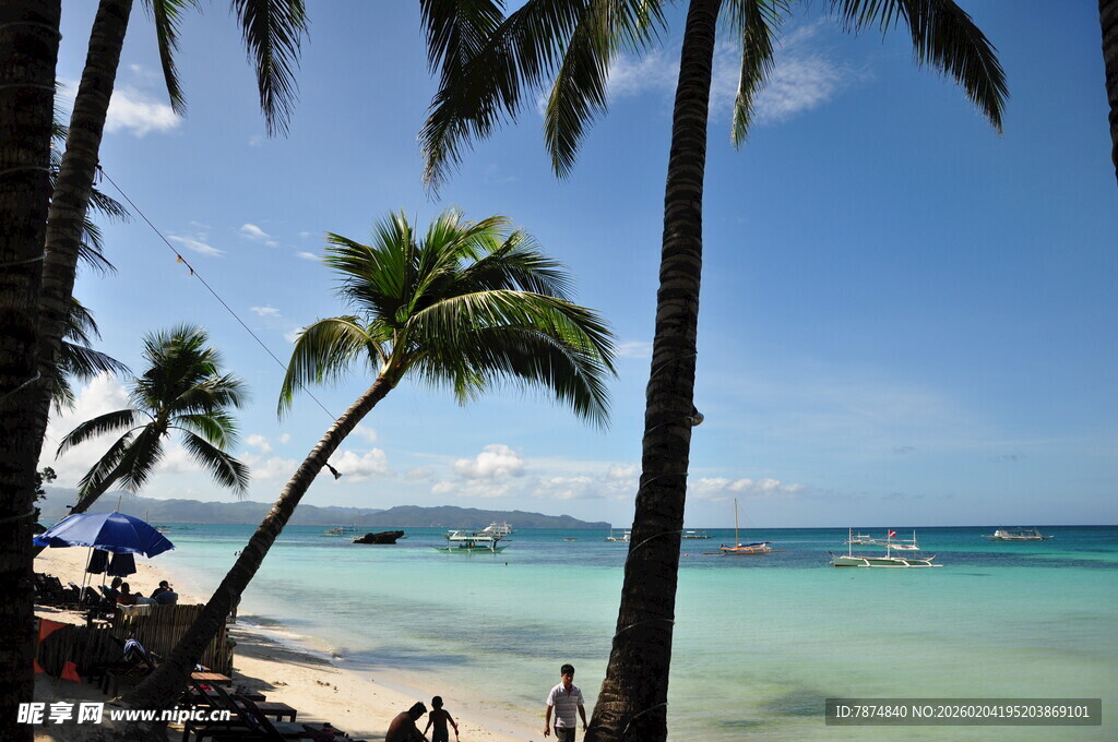 热带海滩风光 椰树碧海