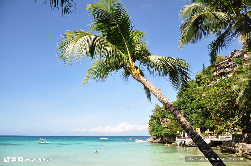 热带海滩椰树美景