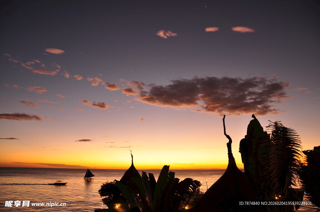 海边日落仙人掌剪影美景