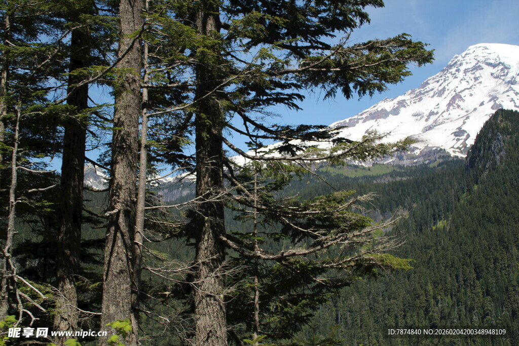 山林间远眺巍峨雪山