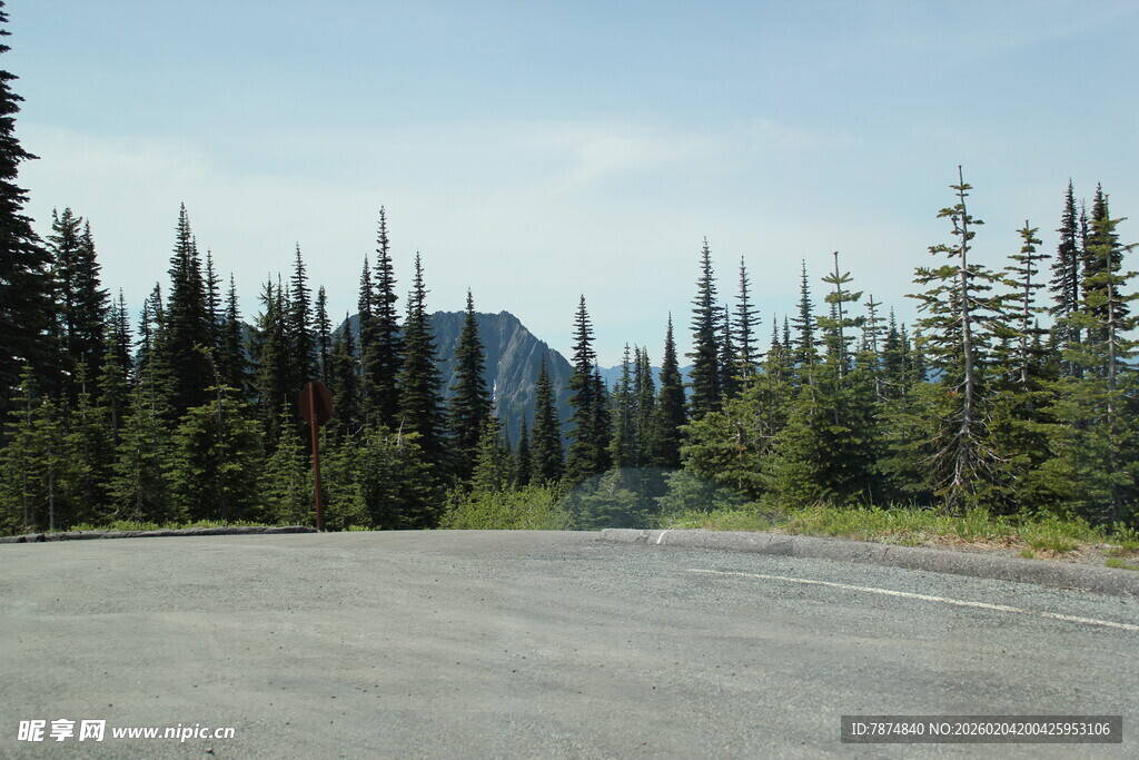 林间空旷道路景色