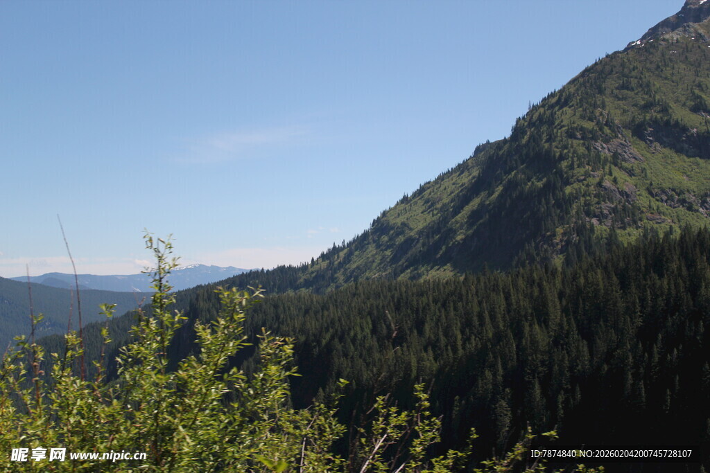 青山绿树间的自然美景