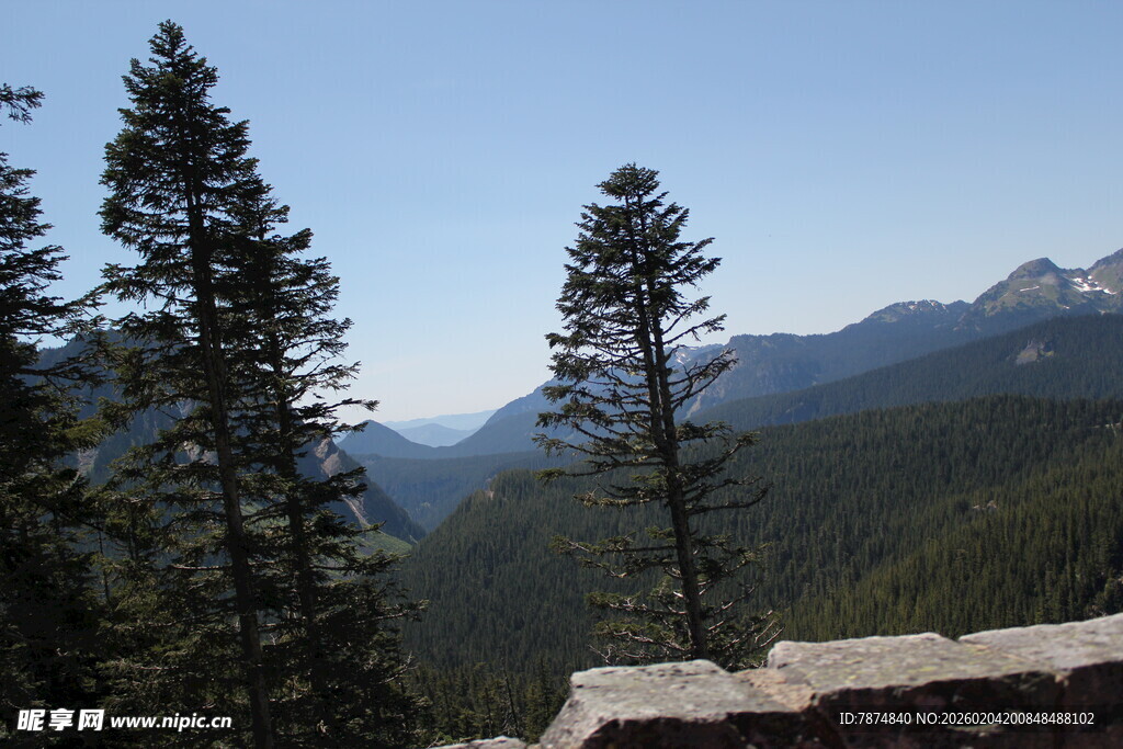 山间松林与远处山峦美景